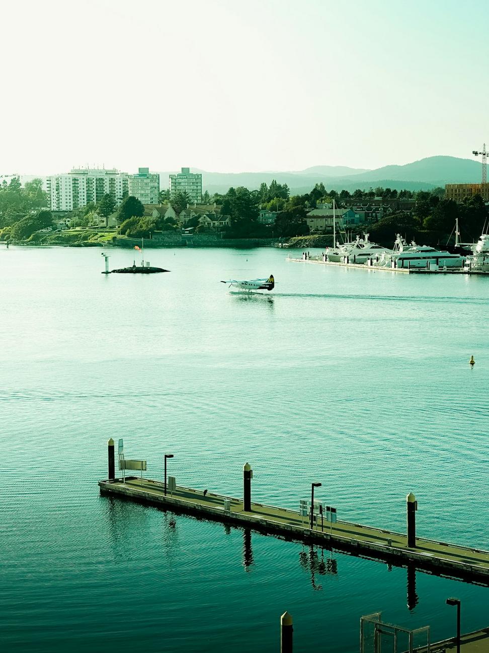 Harbor View